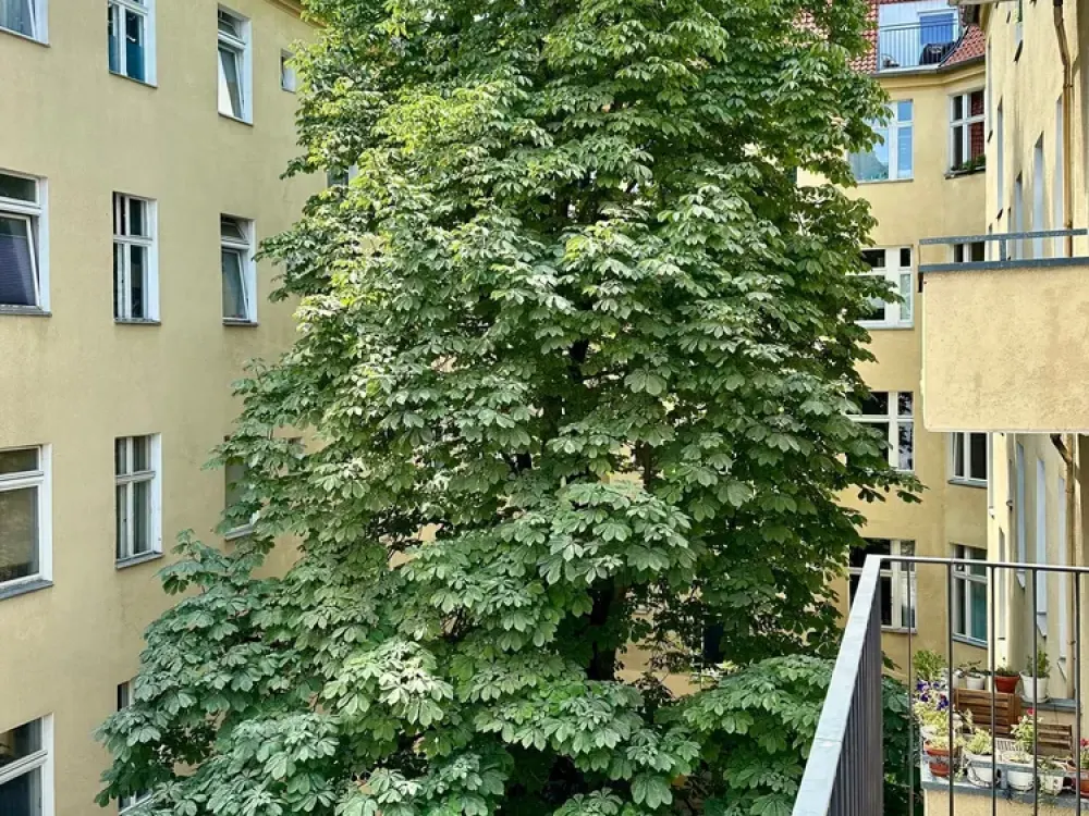 Traumhafte, ruhige und großzügige 2-Zi.-Whg. mit Balkon & hochwertiger EBK!