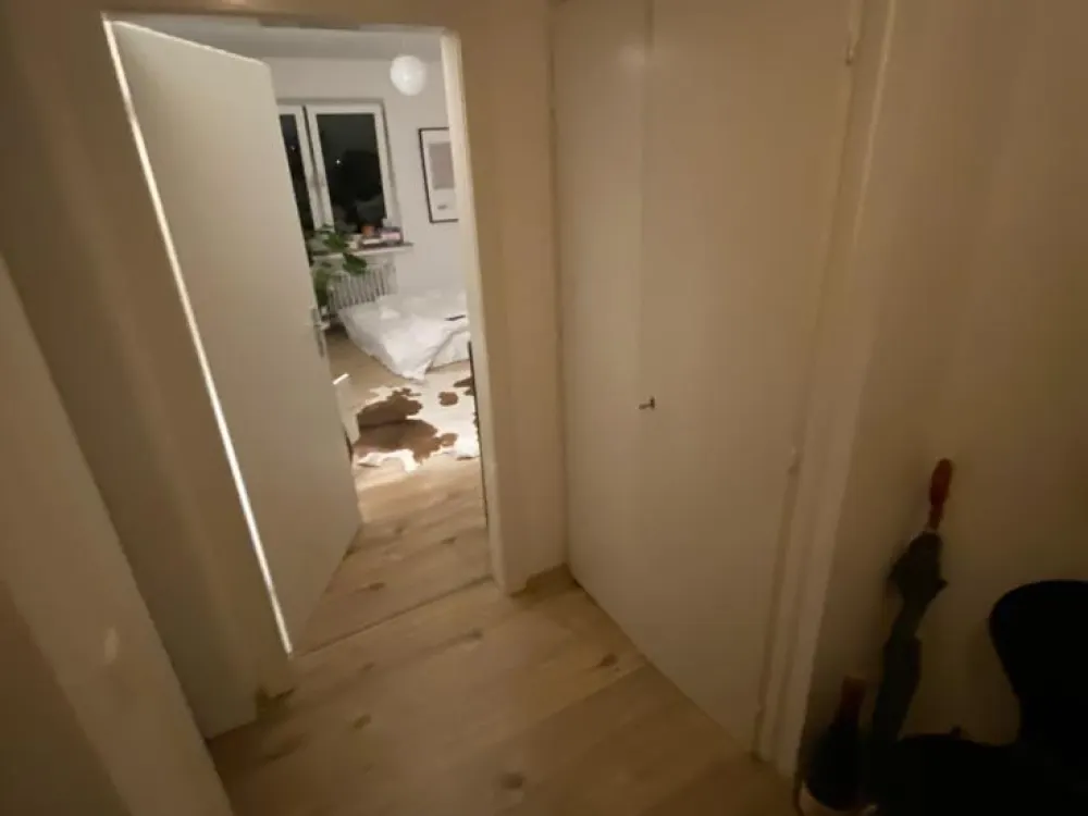 Zimmer in einer 2er WG in Düsseldorf-Derendorf
