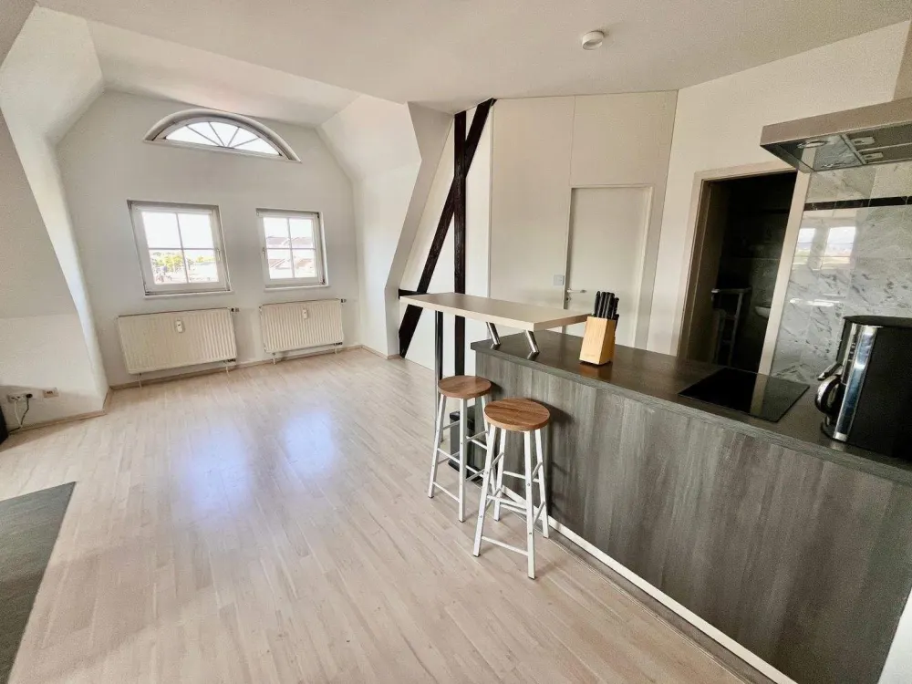 Sonniges Appartement in DD-Neustadt mit Weitblick
