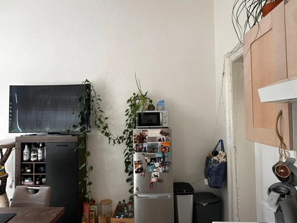 Room in 3-person shared flat in spacious ground floor apartment in Tharandt