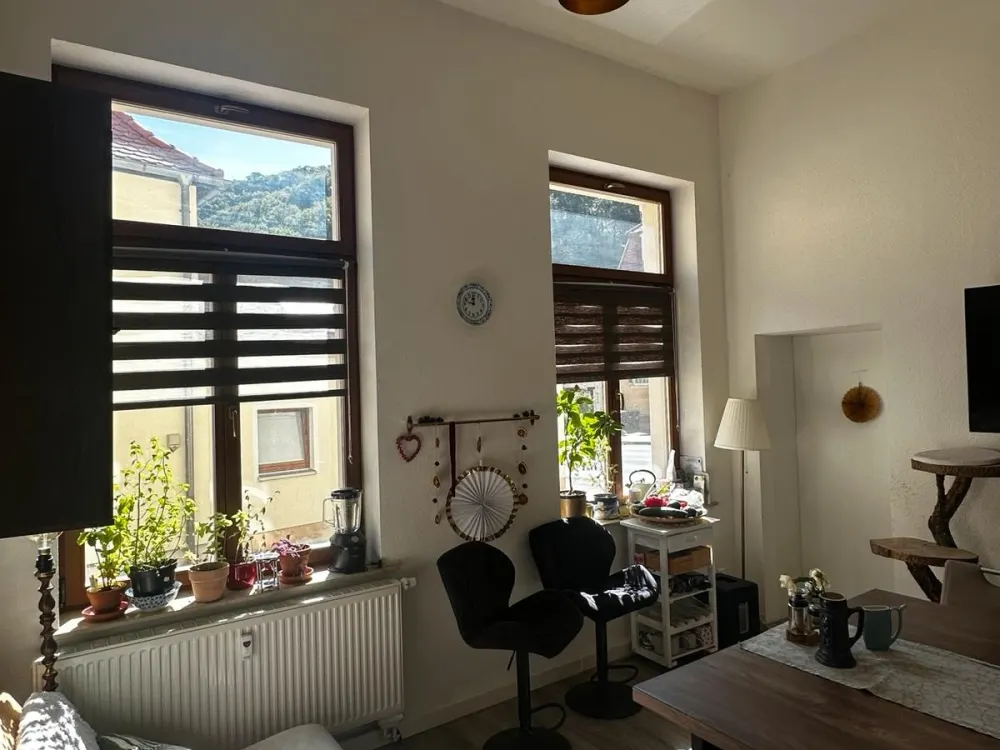 Room in 3-person shared flat in spacious ground floor apartment in Tharandt