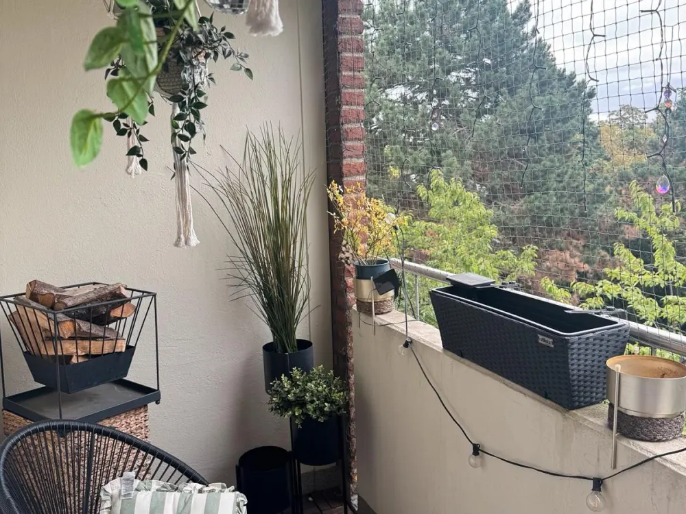 Wohnung in Bilk. ANFRAGESTOPP