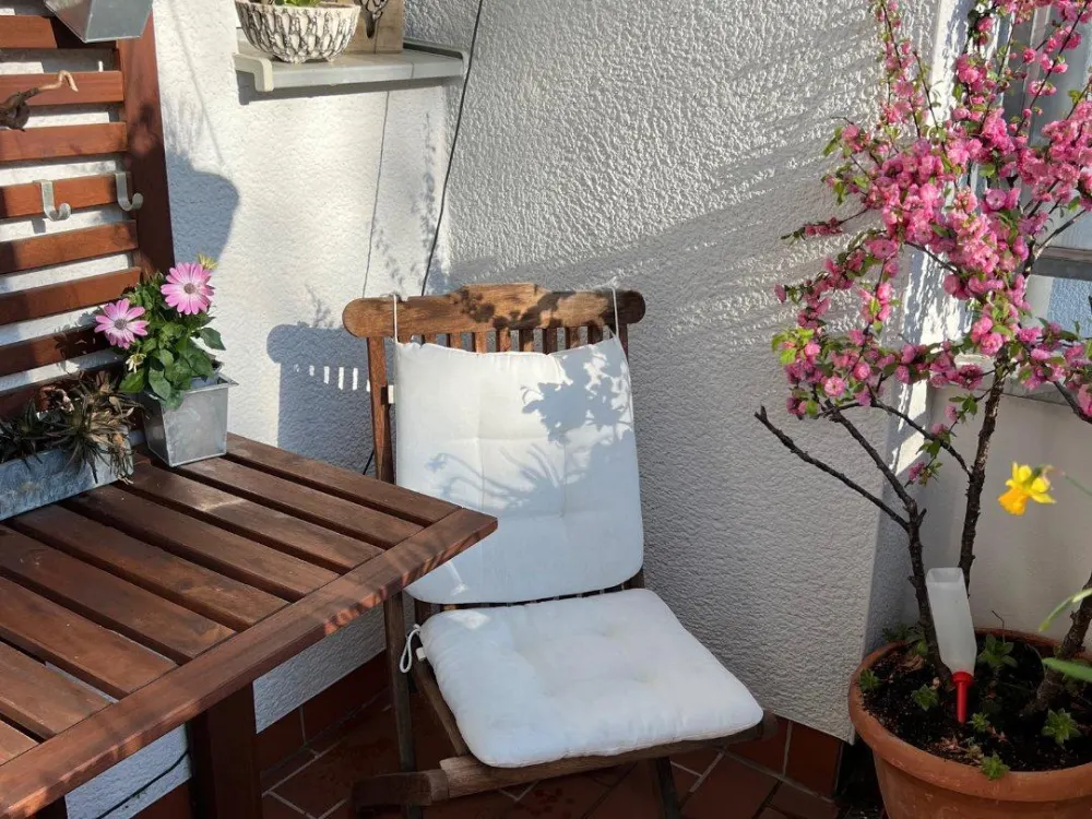 Zwischenmiete in Cozy-Zooviertel-Wohnung