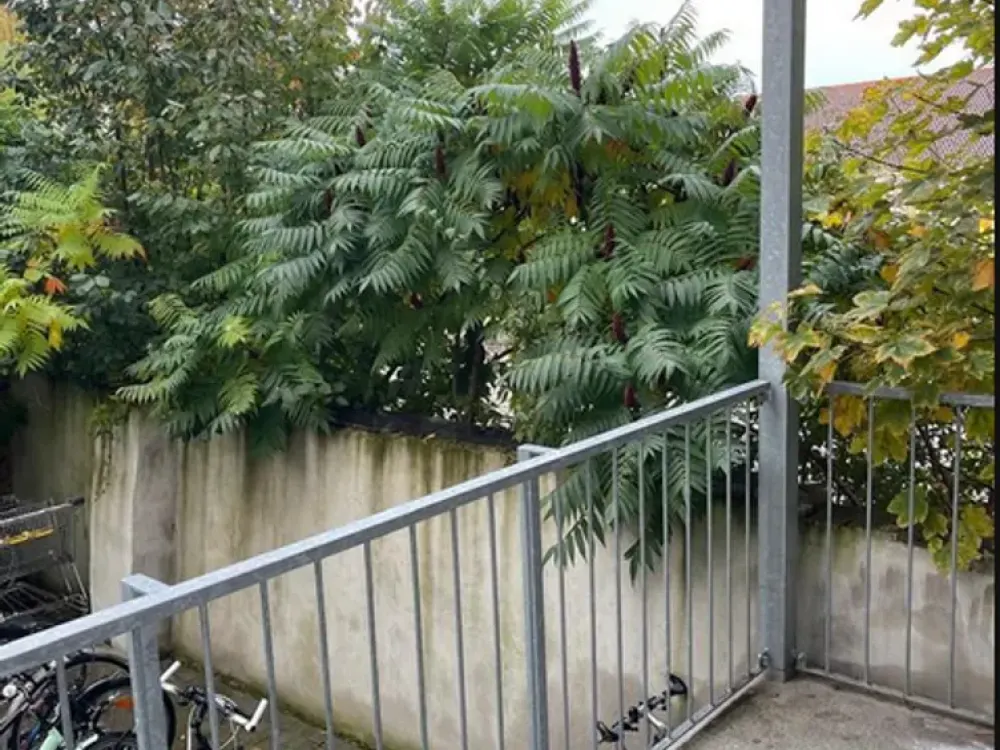 Charmante 2-Raum-Wohnung mit Balkon