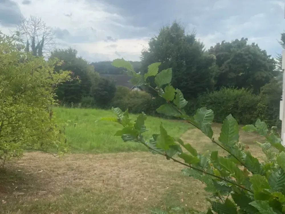 "Kleine Souterrain Wohnung, in beliebter Lage am Boloh zu vermieten"