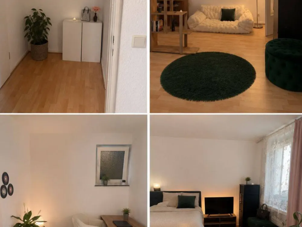 1 Zimmer Wohnung Möbliert