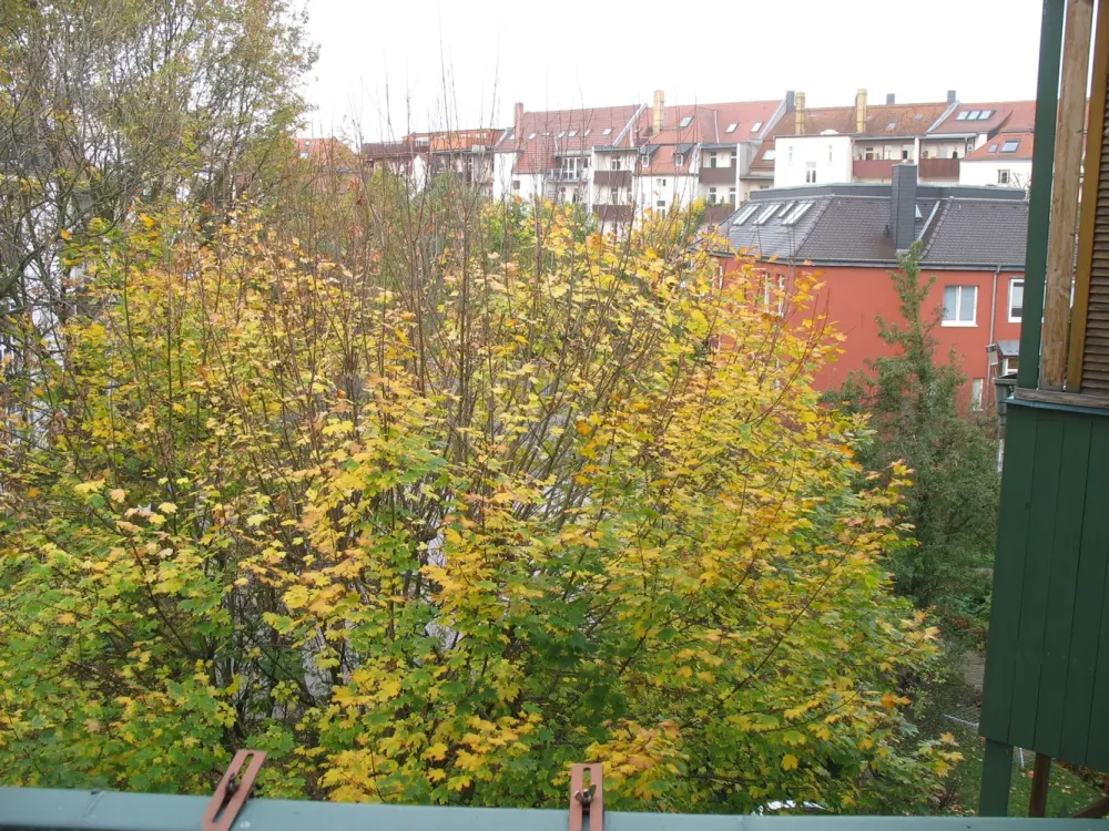 South/West Balcony, Daylight Bathroom with Bathtub, Beautiful 3-Room Apartment in Gohlis Available!
