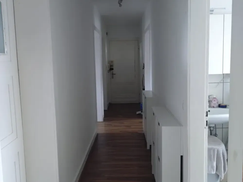مطلوب زميل سكن