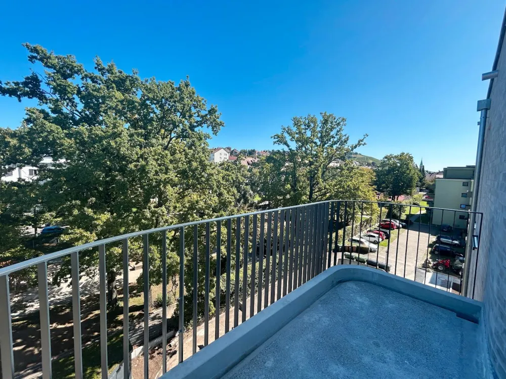 2 Monate mietfrei! 3 ZW mit Dachterrasse & Eckbalkon, Einbauküche, helles Neubauamiente, Aufzug