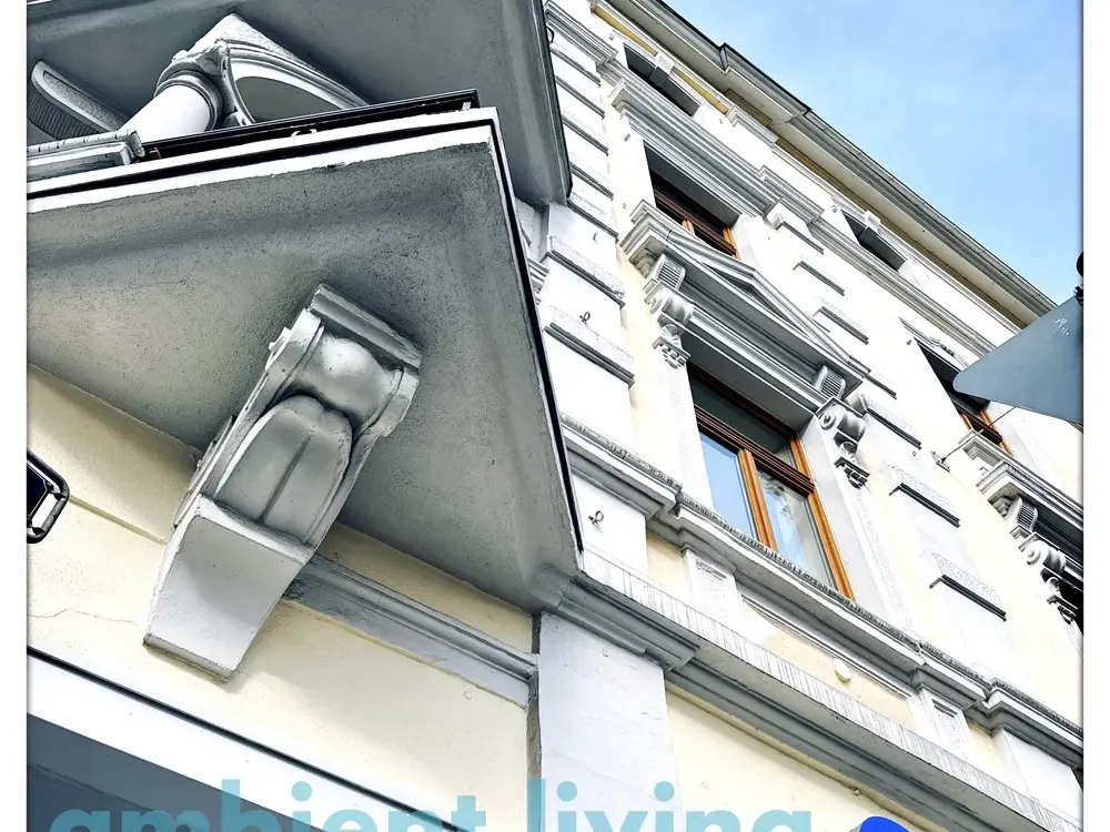 AMBIENT LIVING: "Bel-Etage" Apartment with Fireplace, stunning, spacious City Living!