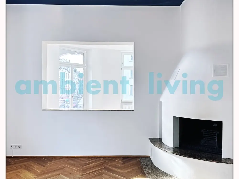 AMBIENT LIVING: "Bel-Etage" Apartment with Fireplace, stunning, spacious City Living!
