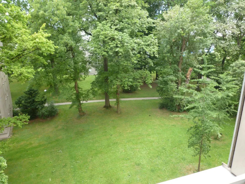 3 Zimmer Wohnung Parkstadt Bogenhausen: zentral, ruhig und grün