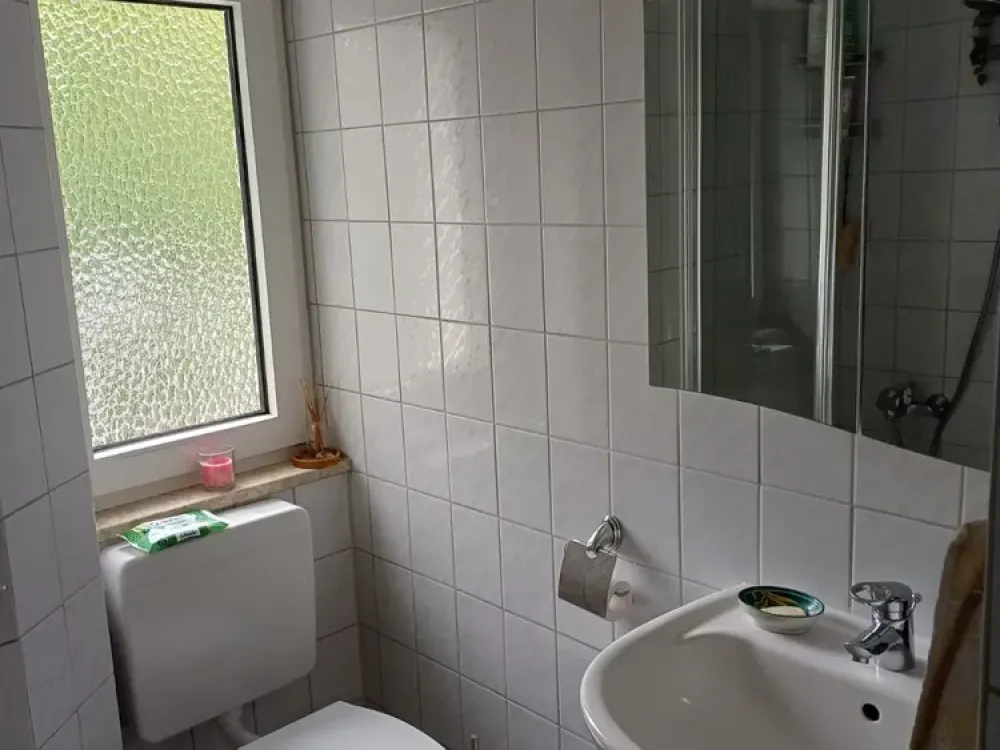 1-Zimmer renoviert