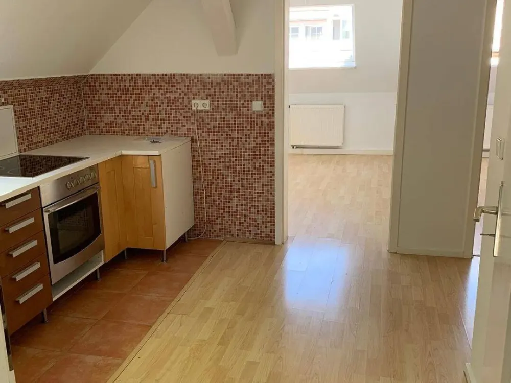 Schöne helle Wohnung sucht netten Mieter