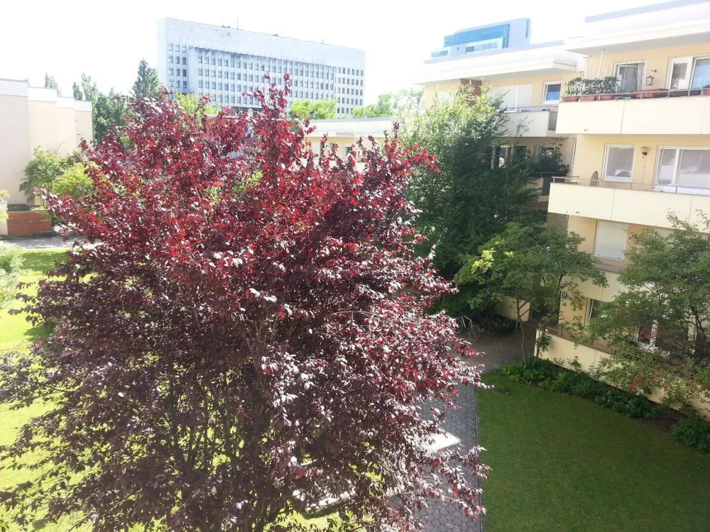 Möblierte 1-Zimmer-Wohnung München-Pasing mit Süd-Loggia