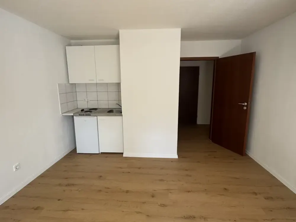Renovierte 1 Zimmerwohnung mit Balkon und TG