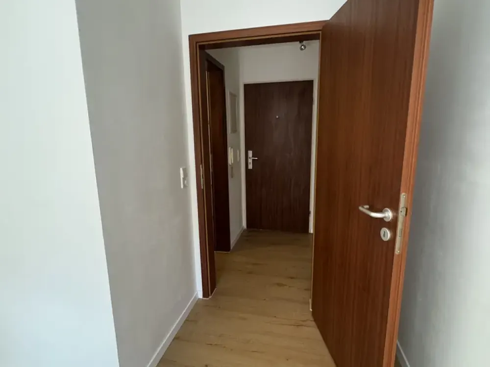 Renovierte 1 Zimmerwohnung mit Balkon und TG