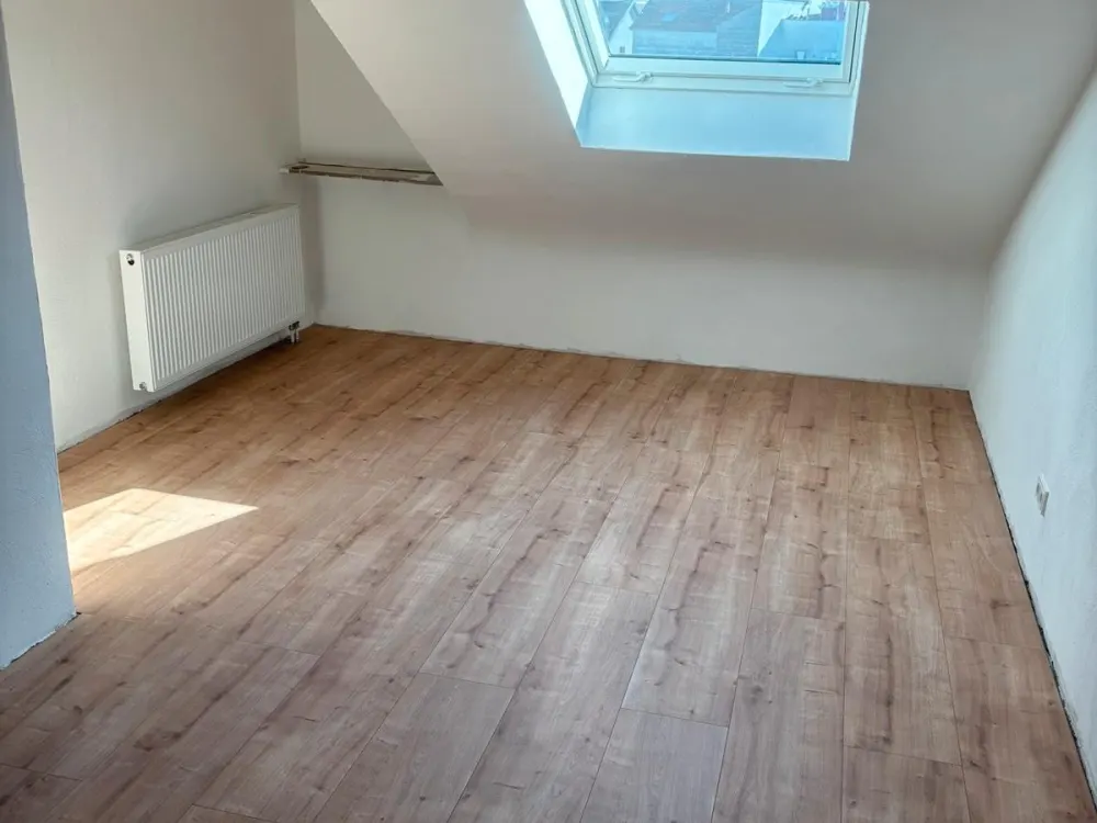 First Occupancy After Renovation / Beautiful and Bright Attic Apartment