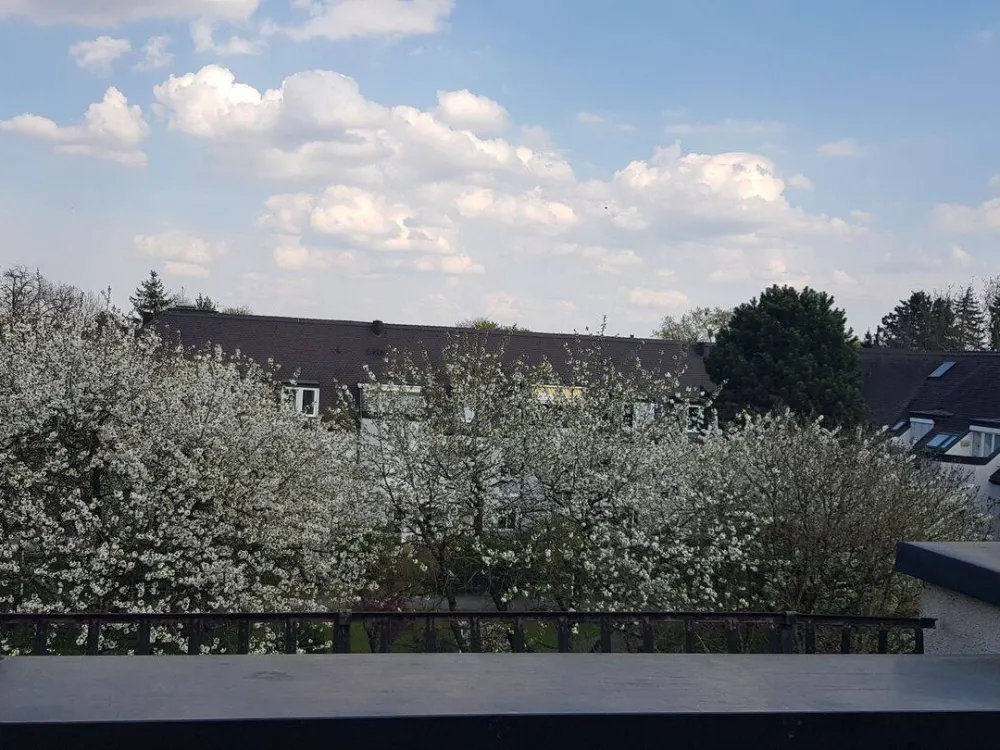 2½ Zi-Dachterrassen-Whg München-Denning