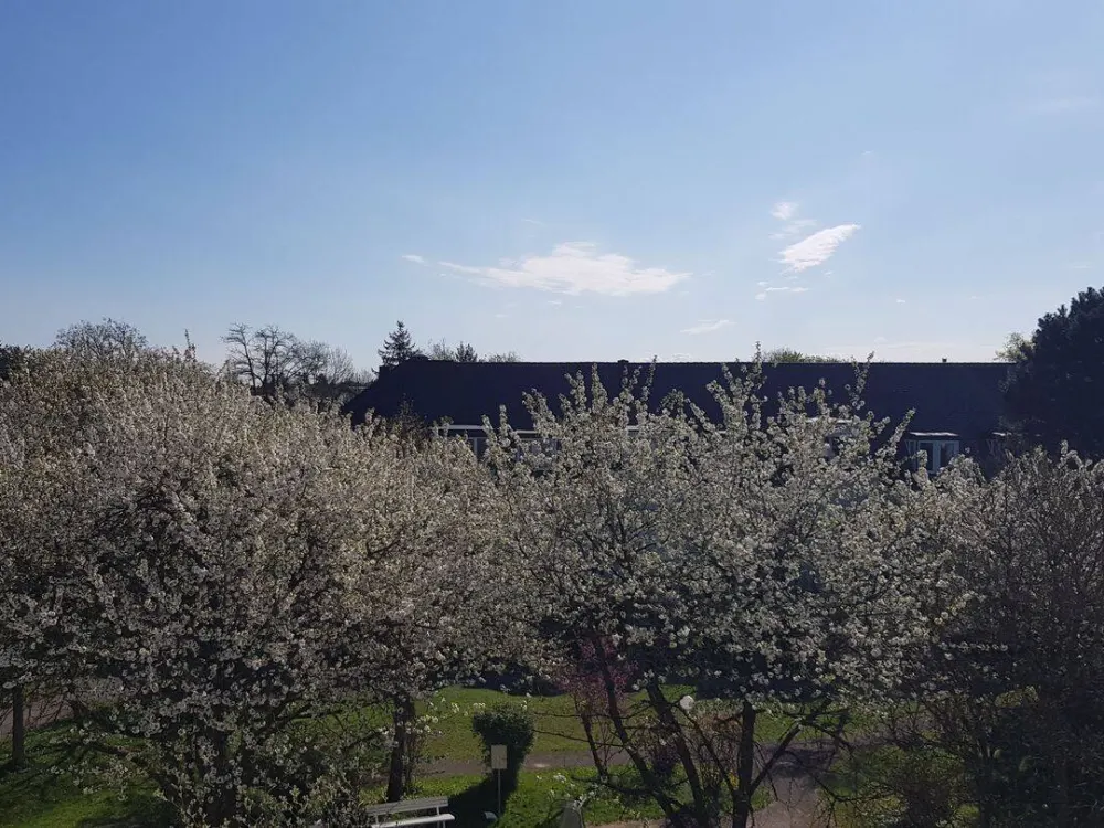 2½ Zi-Dachterrassen-Whg München-Denning