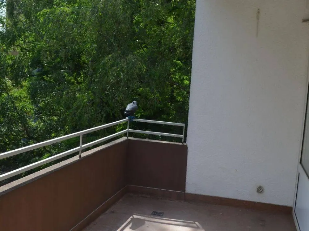Provisionsfreie 4Zimmer Wohnung in Frankfurt geeignet als 3er WG ab sofort zu vermieten
