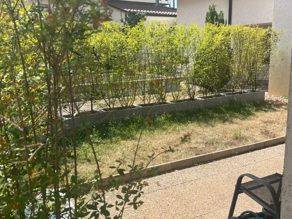 2,5 Zimmer Wohnung mit Terrasse