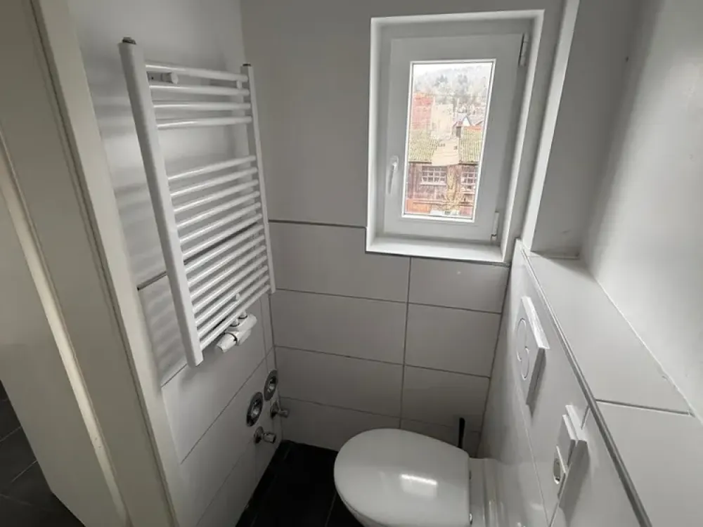 Completely Renovated Apartment, 1 Room, Kitchen, Bathroom, First Occupancy