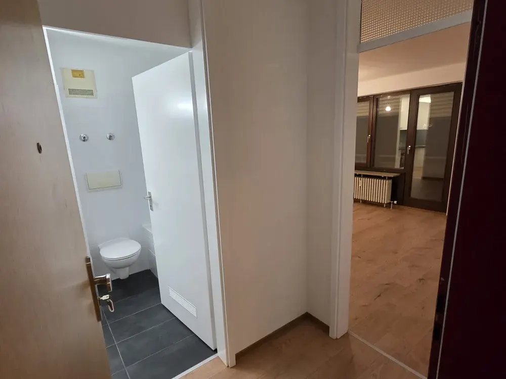 Frisch renovierte 1-Zi. Wohnung mit Balkon