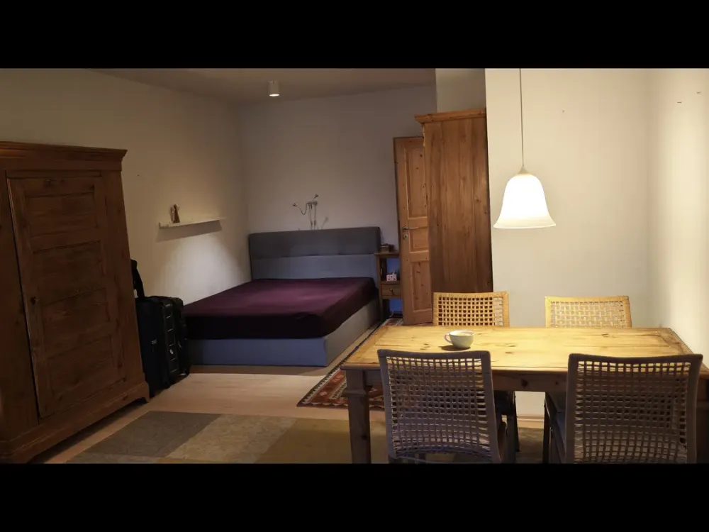 Practical 1-Room Apartment in Lindau