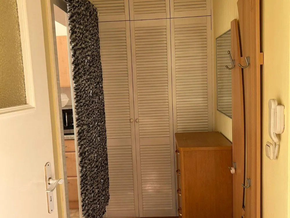 Möblierte 1- Zimmer- Wohnung in Böhlen
