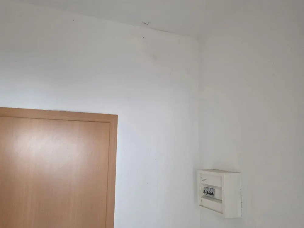 Modernisiertes Appartement zentrumsnah, ab sofort frei