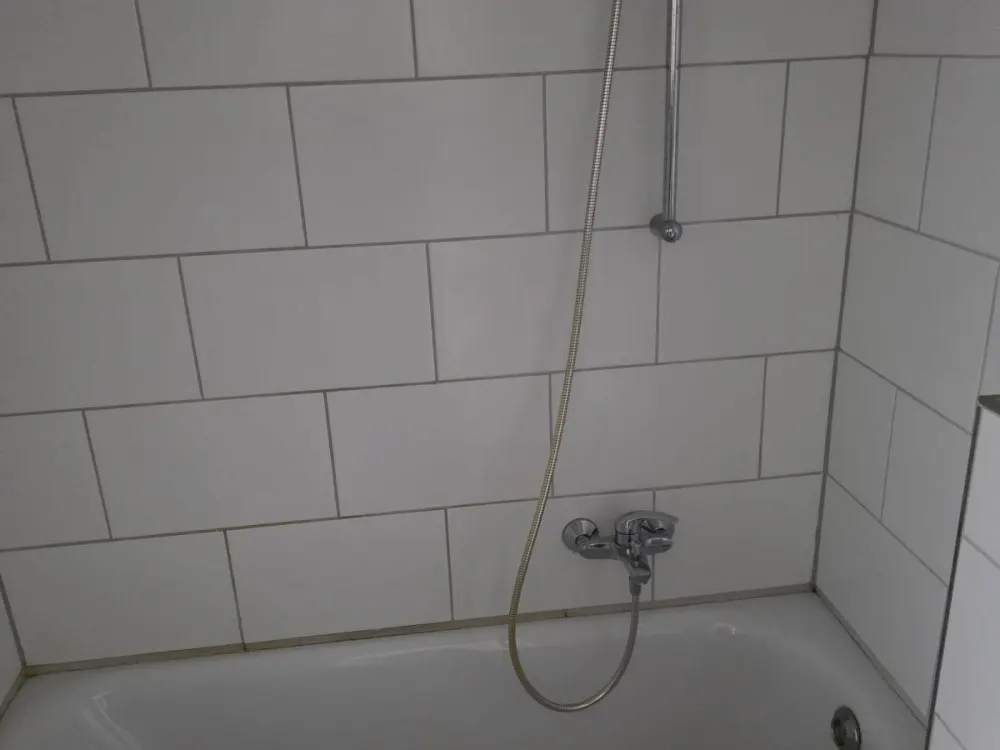 Modernisiertes Appartement zentrumsnah, ab sofort frei