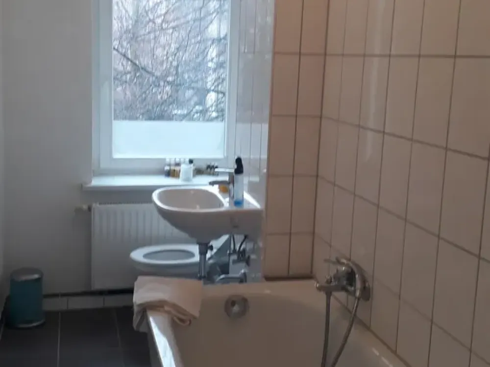 Old Building Stucco 3-Room Apartment in Leipzig