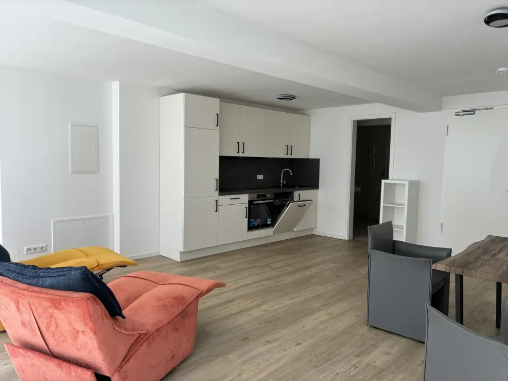 Renovated 1-Room Apartment with Built-in Kitchen