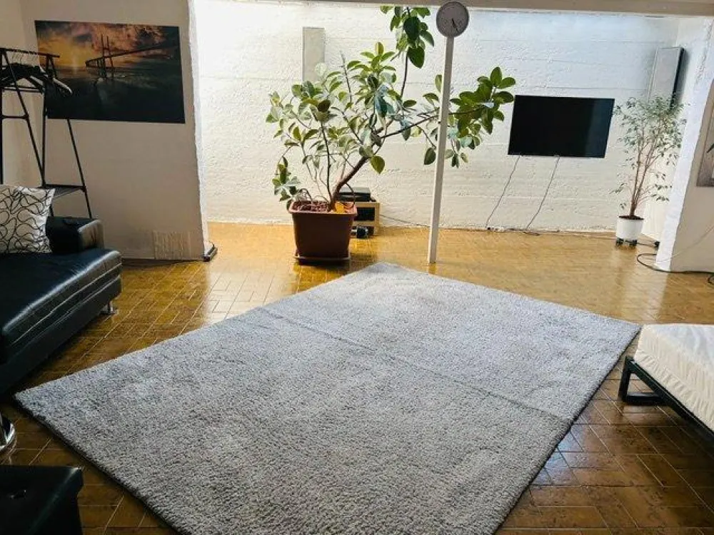 helle große möblierte Kellerwohnung - 60qm