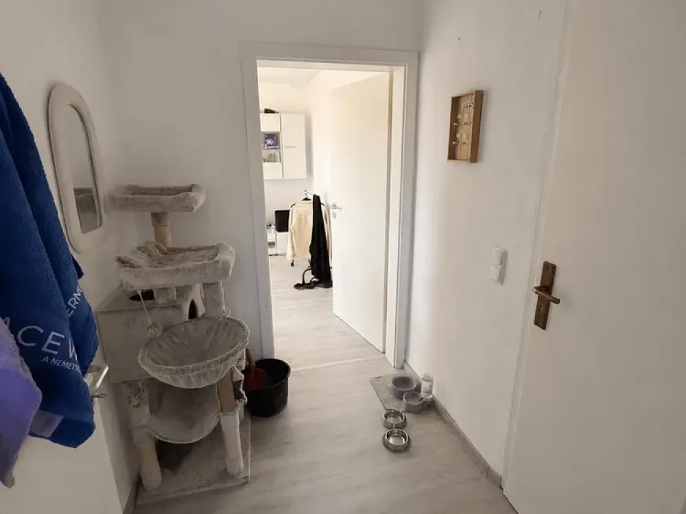 Großzügige Dachgeschosswohnung am Stadtgarten