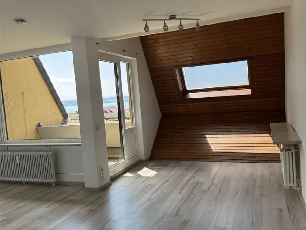 Beautiful 1-Room Apartment with Lake View for Rent!