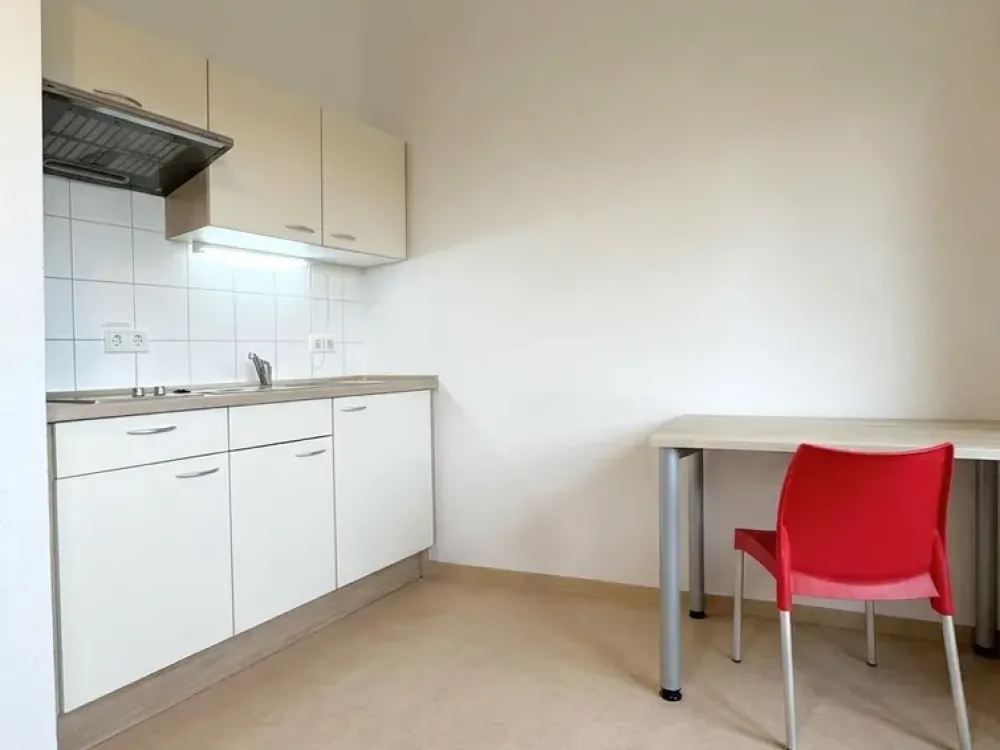 Großzügige Maisonettewohnung zur Miete in Dresden-Neustadt | Wentzel Dr.