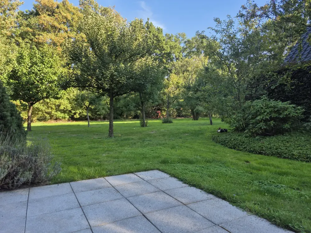 Barrierefreie ruhige im Grünen gelegene 2-Zimmer-Whg. (KfW40) mit Ost- u. Südterrasse im Grünen