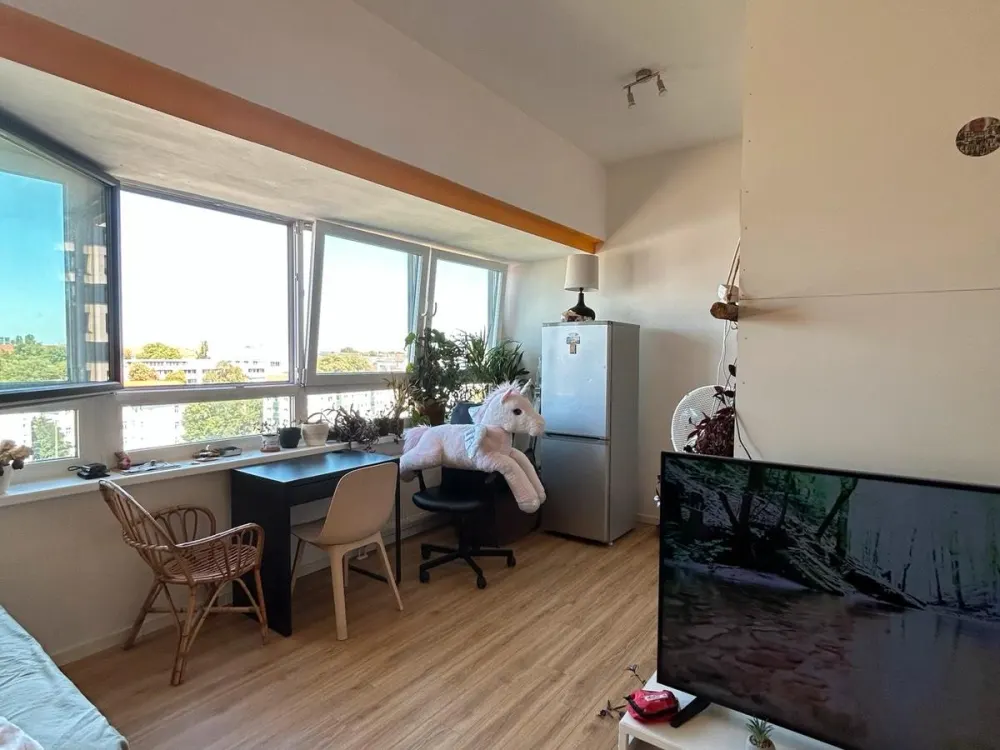 Wohnung Miete