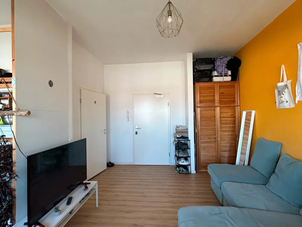 Wohnung Miete