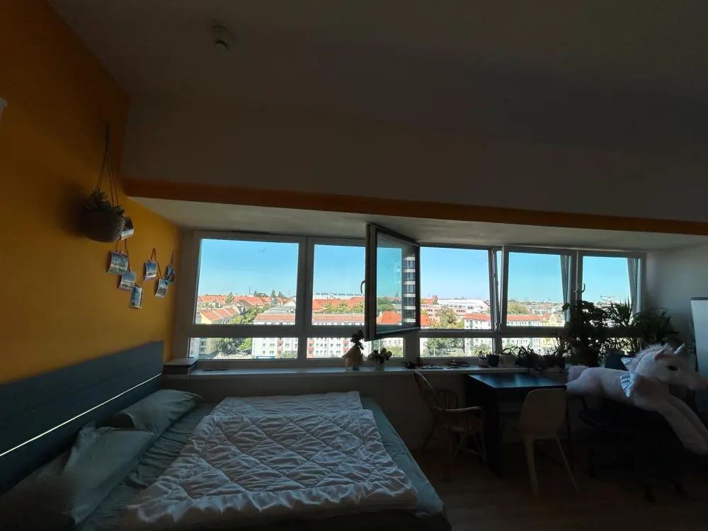 Wohnung Miete