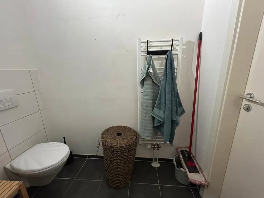 Wohnung Miete