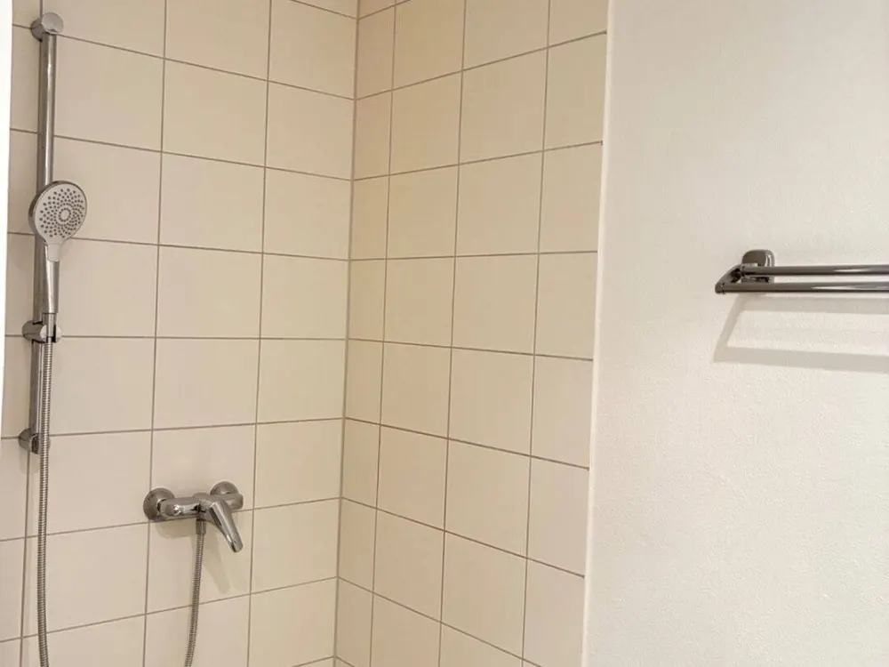 Helles Apartment mit Aufzug und Pellet-Heizung in Dresden - Hechtstraße (01097)
