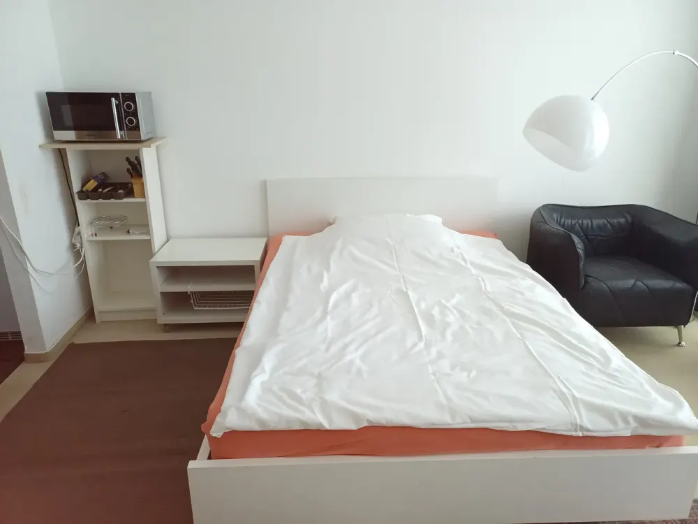 Modern möbliertes 1-Zimmerapartment in der City, Pauschalmiete 900€