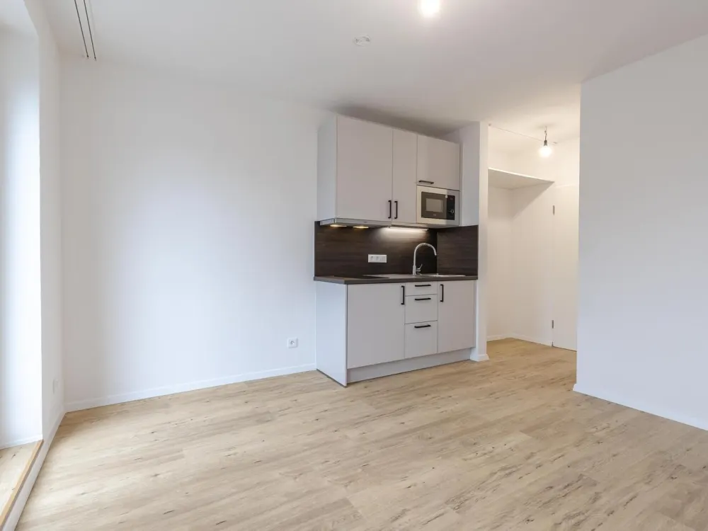 Erstbezug Kernsaniert | Helle 1-Zimmer Wohnung mit Balkon in München-Giesing