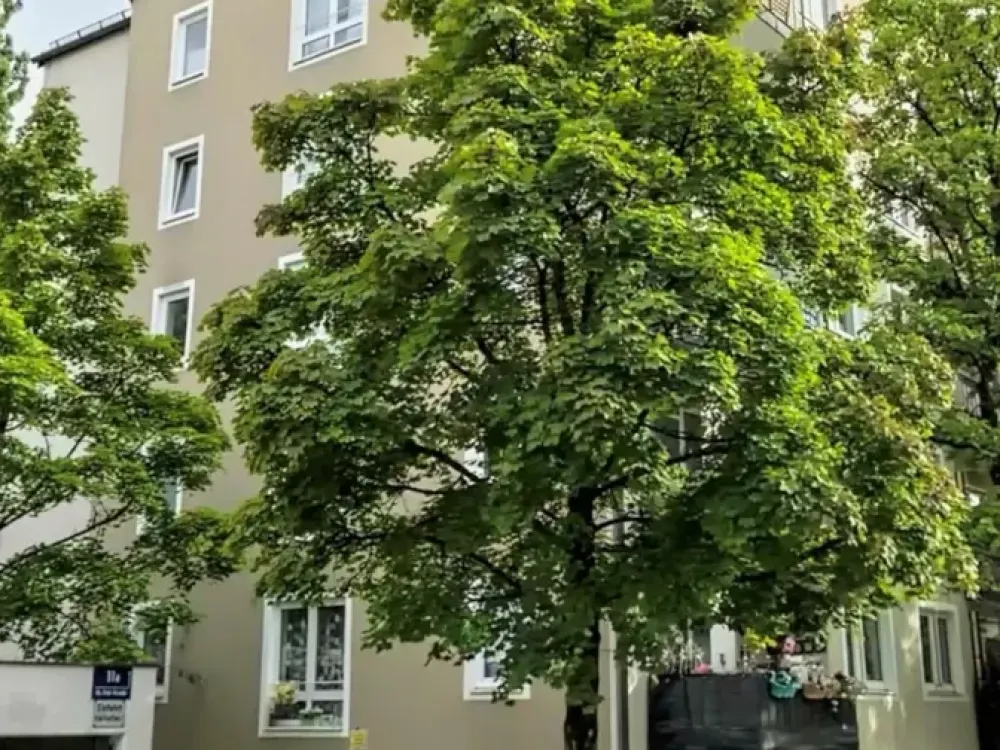 Helle 2-Zimmer Wohnung mit Balkon, Aufzug und TG-Stellplatz in München Berg am Laim