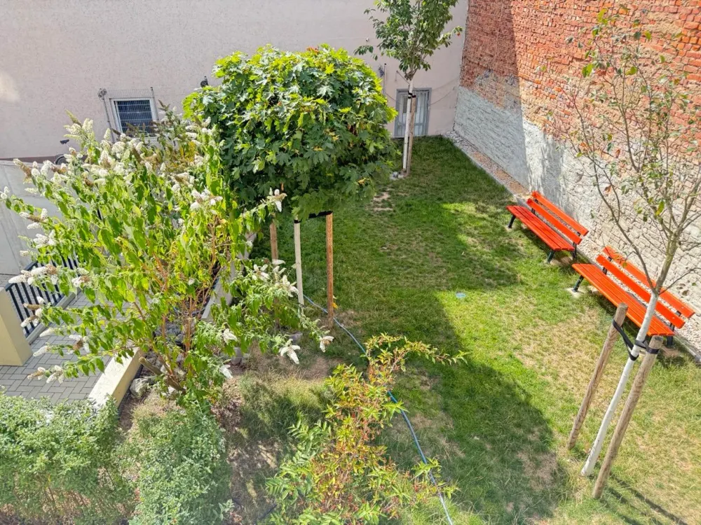 Eigenes Haus statt Wohnung - 5 Zimmer, Terrasse, Garten