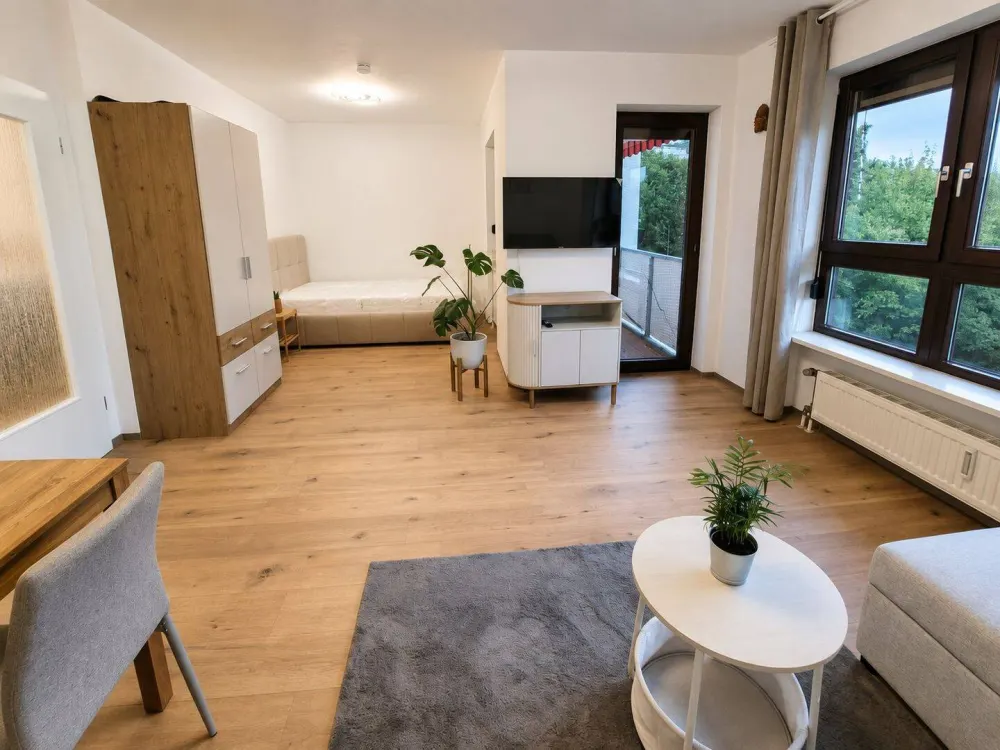 Furnished Accessible Apartment for Singles
