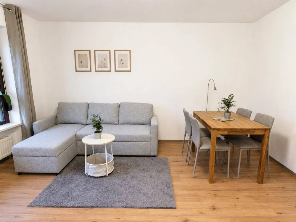 Furnished Accessible Apartment for Singles